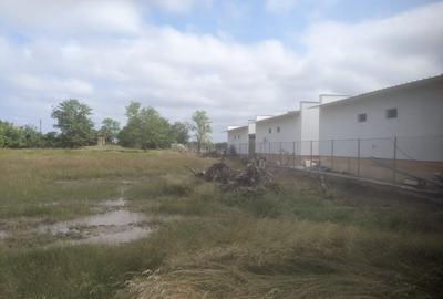 Teren vanzare Crisan 3600 mp Str Principala - 3