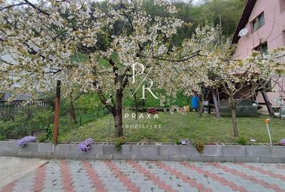 Casă individuală cu 6 camere cu Teren 1300 Mp în Tăuți - 12