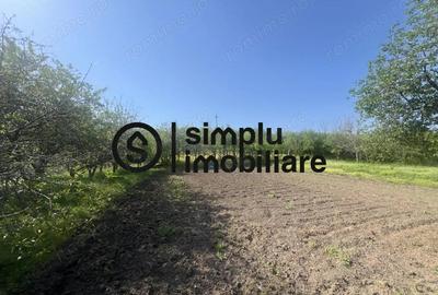 Teren Intravilan Central Ghercesti - 2