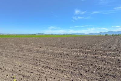 Teren intravilan, 1.7 hectare, Stupini Strada Barsei - 10