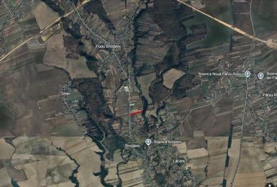Teren de 13383 mp, în Broșteni - 1