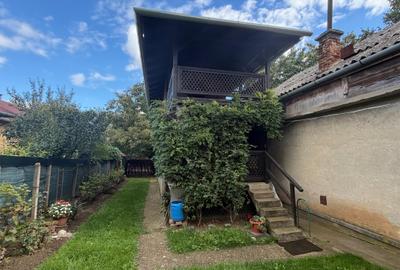 Casa de vinificatie in Viile Tieamului Carei - 19