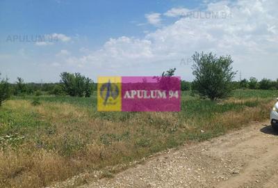 Săbăreni, teren 12620 mp pentru case, lângă pădure - 5