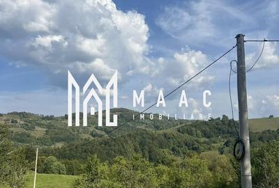 Teren Construcții intravilan de 14242 mp, în Sohodol - 9