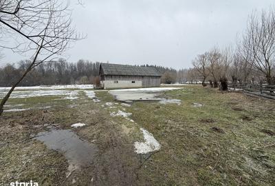 Teren de 3600 mp, în Horodnic - 7