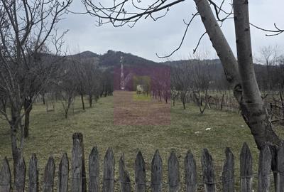 Teren de 734 mp, în Brebu