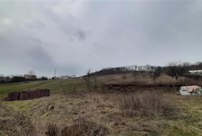 Teren intravilan de 1750 mp, în Remetea - 5