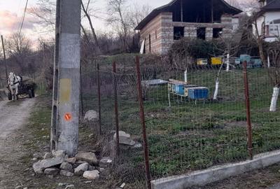 Vand constructie in zona montana ,Corbi ,jud Ag - 6