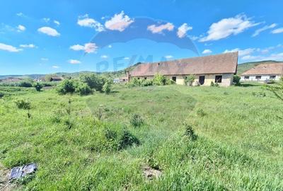 Teren Construcții intravilan de 3436 mp, în Hoghilag - 3