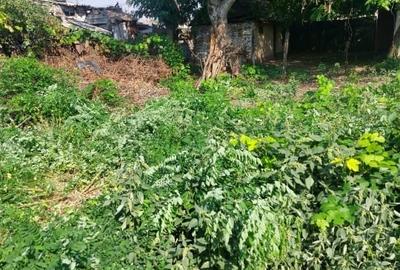 Casă individuală cu 3 camere cu Teren 500 Mp în 6 Vânători - 11