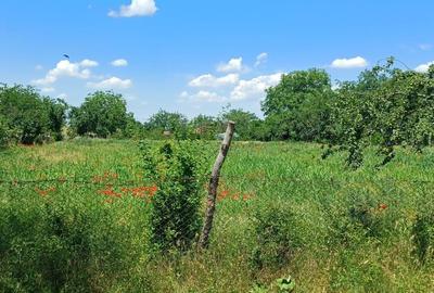 Teren agricol intravilan de 1800 mp, în Fântâna Doamnei - 5