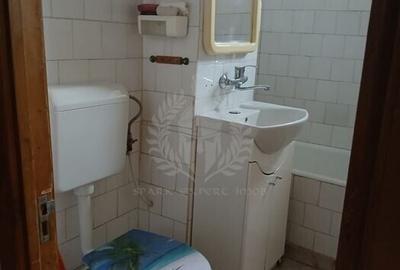 3 CAMERE // PARCUL MIHAI VITEAZU //2 BAI // PET FRIENDLY - 7