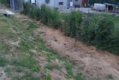 Casă cu 2 camere în Cornești (Crăciunești) - 8