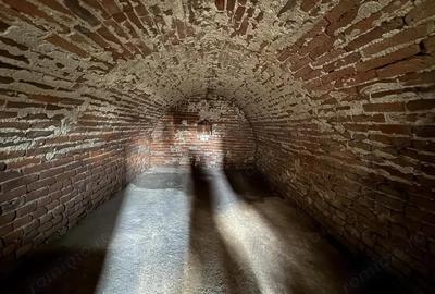 Casa cu teren 8000 mp. - Cetariu - IMOBIHOR - 7