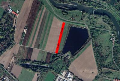 Teren agricol extravilan de 5755 mp, în Lugoj - 1
