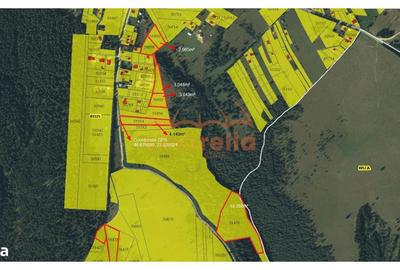 Teren de 6449 mp, în Beliș - 1