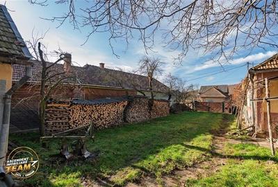 FILM! Domeniu de 6.221mp, livada pomi fructiferi+casa si anexe,Lemnia, Covasna - 13