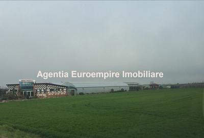 Teren de vanzare Agigea la Dn 38 - 2