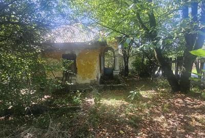 Teren de 1113 mp si casa batraneasca in comuna Mihaesti jude?ul Valcea - 7