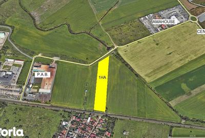 Teren de 10000 mp, în Micălaca - 3