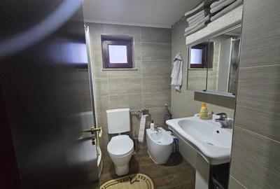 Casă individuală cu 4 camere cu Teren 3000 Mp în Mitocu Dragomirnei - 7