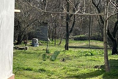 Casă individuală cu 2 camere cu Canalizare în Crivina - 10