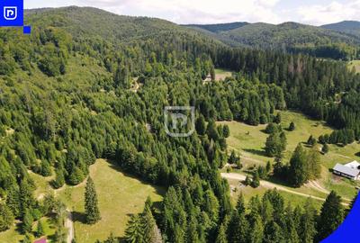 Teren intravilan de 14430 mp, în Periferie - 13