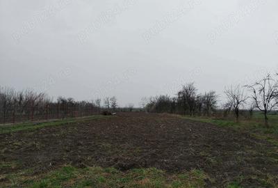 Casă cu 5 camere în Racovița - 17