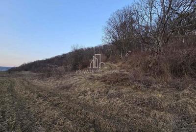 Teren extravilan 28.800 Mp , zona Rora, Sighisoara - 1