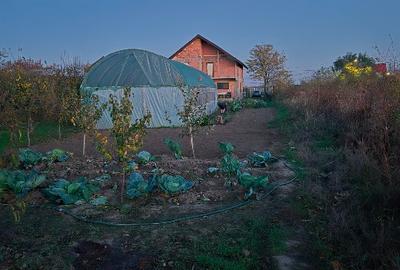Vând casă Varlaam Giurgiu - 6