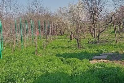Casă cu 3 camere cu Teren 863 Mp în Central - 10