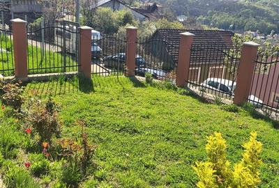 Casă individuală cu 3 camere cu Canalizare în Muncitoresc - 14