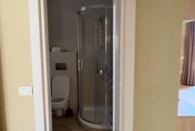 Vila de vanzare 7 camere zona Centrala Vila de vanzare 7 camere zona Centrala - 21