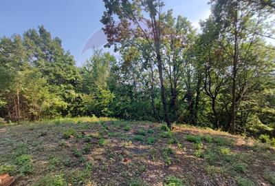 Teren Construcții intravilan de 756 mp, în Valea Roșie - 3