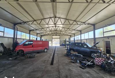 Spațiu comercial, de 500 mp, în Cumpăna - 7