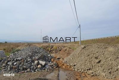 Teren de 6500 mp, în Veterani - 2