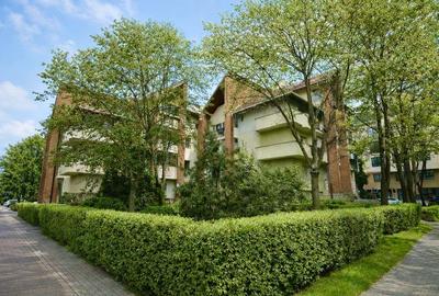 Centru, str. Arcu - Apartament 2 camere, spatios, decomandat, etaj 1 + boxa - 1