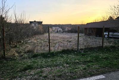 Teren intravilan 1056 mp cu cabană 44 mp, Pasărea – Brănești (Ilfov) - 1