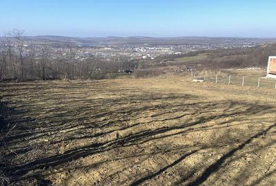Spațiu comercial, în Vlădiceni - 3