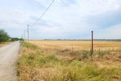 Teren 8.812mp- Magurele- Dumitrana, Autostrada 0 - 5