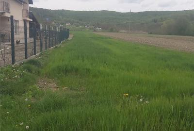 Teren de 2450 mp, în Băiculești - 9