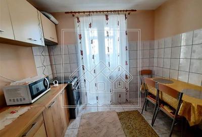 Garsonieră decomandată în Turnișor - 2