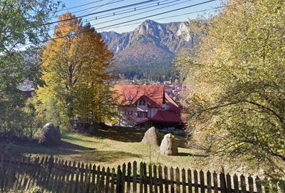 Teren intavilan de vanzare in Busteni, zona Zamora (oport... - 6
