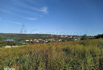 Teren de 11050 mp, în Paleu - 2