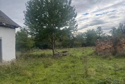 Casă cu 2 camere în Central - 5