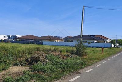 Teren agricol intravilan de 5000 mp, în Moșnița Nouă - 6