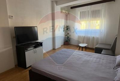 Apartament cu 1 camere de închiriat în zona Brazda lui Novac - 3