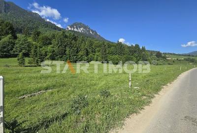 Teren intravilan Zarnesti Plaiul Foii - 5