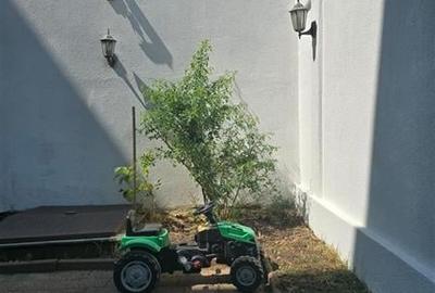 3 CAMERE+CURTE 68 MP SECTOR 1 BUCURESTII NOI-LIDL-METROU PARC BAZILESCU - 20