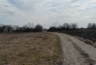 Spațiu comercial, în Tei - 2